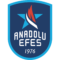 Anadolu Efes Istanbul